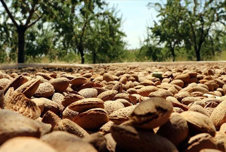 Bademle cildini koru