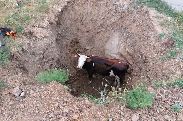 Pendik'te ilginç operasyon! 5 saatlik esaret son buldu