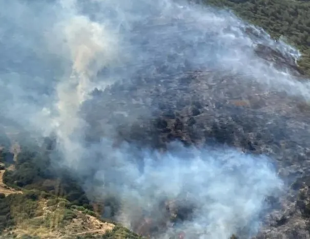 İzmir’deki yangına jet müdahale!
