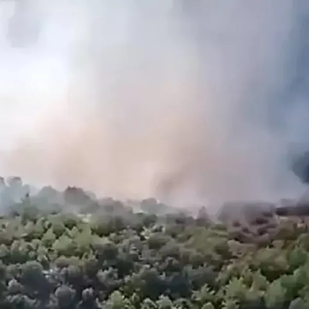 İzmir’de orman yangını!