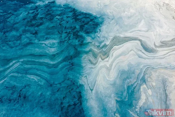 Caddebostan Sahili'nde müsilaj yoğunluğu arttı! Tabloya benzer görüntüler oluştu - 10