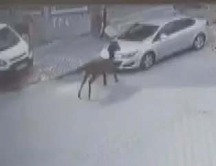 İstanbul Arnavutköy'de inanılmaz olay! Otomobilin sahibi güvenlik kamerasını izleyince gözlerine inanamadı