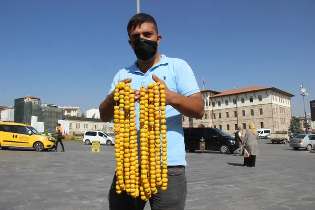 fiyati-sasirtacak-cinsten-hasadini-yapanlar-simdi-paraya-para-demiyor-her-derde-deva-1601746930493.jpg Fiyatı şaşırtacak cinsten! Hasadını yapanlar şimdi paraya para demiyor! Her derde deva...-3
