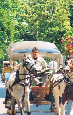 Adalar’ın kokusu çıktı