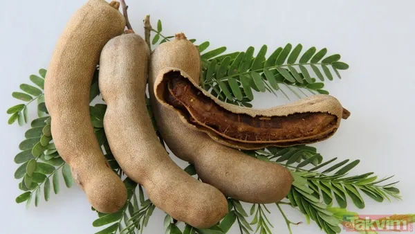 Osmanlı’nın gizli şifası: İnsülin direncini yok ediyor bağırsakları harekete geçiriyor - 1