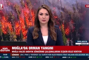 Muğla’da orman yangını! Vali İdris Akbıyık son durumu aktardı