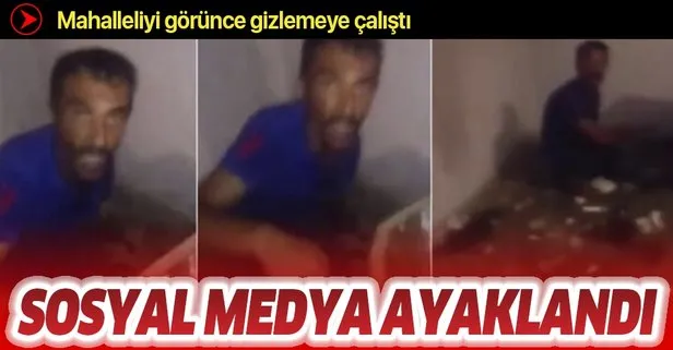 Son dakika: Adana’da kedilere işkence iddiası sosyal medyayı ayağa kaldırdı