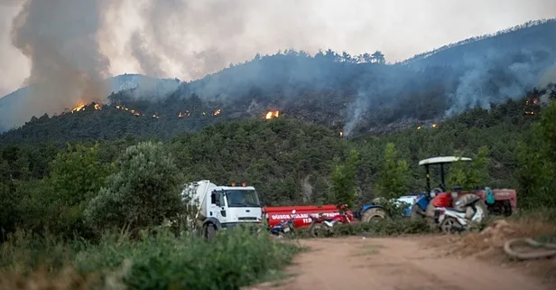Sakarya Geyve'deki orman yangını Bilecik'e yaklaşıyor