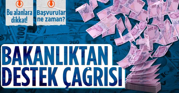 Sanayi Bakanlığı’ndan çağrı var: 421 ürün ve 80 yenilikçi teknoloji alanına destek