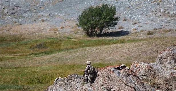 Teröre bir darbe daha: Güvenlik güçlerine teslim oldu