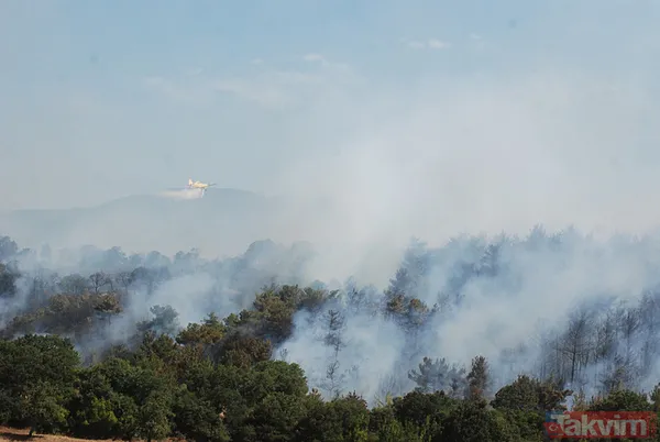 Havadan ayrı karadan ayrı müdahale! Çanakkale'de yangın ormanlık alana sıçradı! - 8