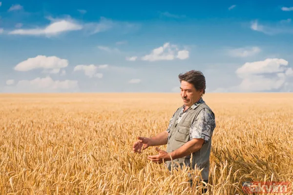 "Tarım öldü" diyenleri ters köşe yapacak rakamlar! Bakanlık sağladığı desteklerle organik üretim ve tüketimi artırıyor - 6