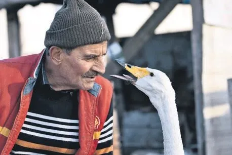 Kartal’da villaya şok baskın! Çok sayıda uyuşturucu ele geçirildi | Yurttan haberler-9