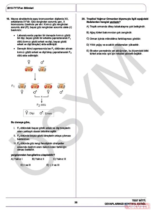 YKS çıkmış sorular ve cevaplar! 2018 YKS çıkmış sorular ve cevap anahtarı - 41