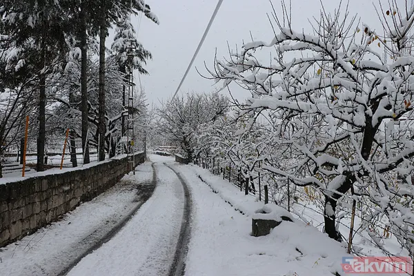 Kar, ayaz ve don alarmı: -16 derecelik soğuklar kapıda! Meteoroloji'den 3 ile sarı kodlu uyarı - 31