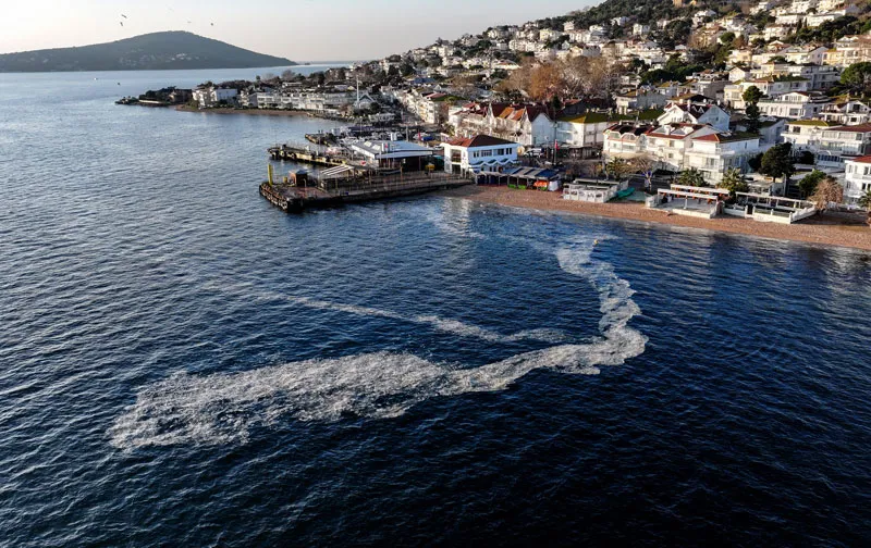 Kınalıada'da müsilaj (AA)