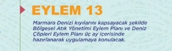 son-dakika-marmara-denizi-adeta-beton-oldu-musilaj-temizleme-seferberligine-unlu-isimler-de-katilacak-1623147625040.jpg