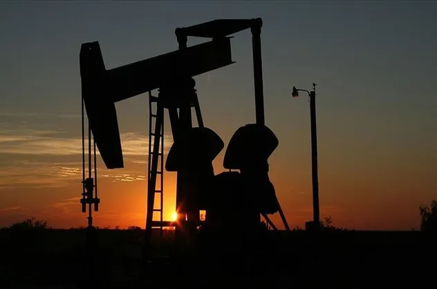 Petrol devlerine büyük şok! Hisseleri yere çakıldı!