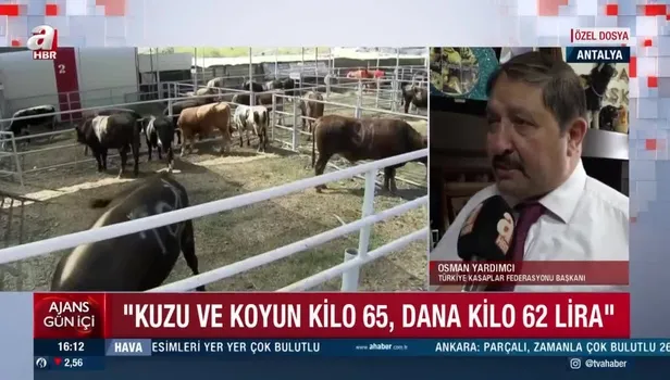 KURBANLIK FİYATLARI ne durumda? Canlı kurbanlık kg fiyatı 2022 kaç TL! Büyükbaş ve küçükbaş kurbanlık fiyatları, kilosu ne kadar?