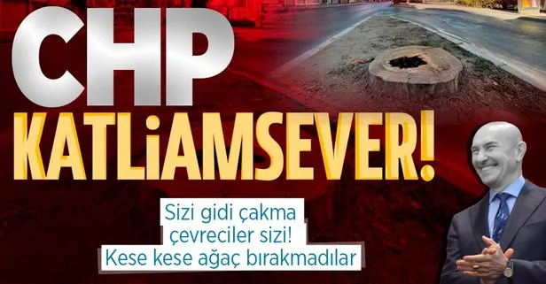 CHP’li İzmir Büyükşehir Belediyesi Başkanı Tunç Soyer’den yeni ağaç katliamı!