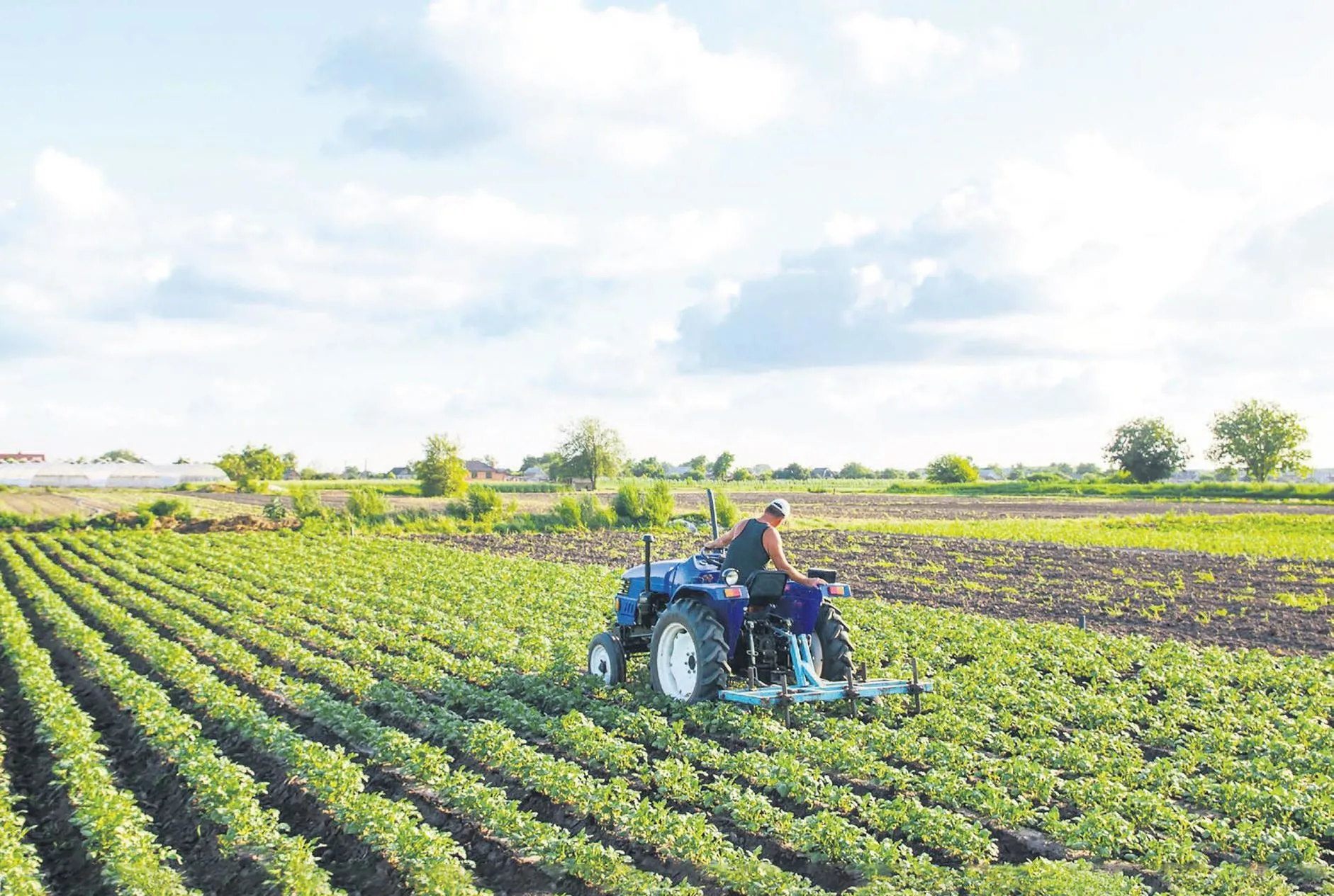 Tarımda büyüme katlandı