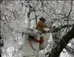 Buzun Doğası