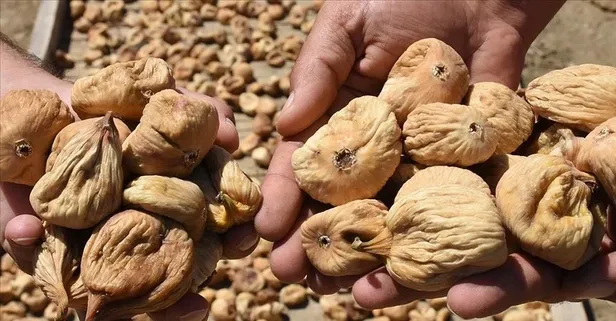 Bağırsak dostu kuru incir