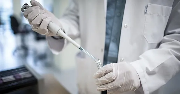 Kansersavar haşhaş