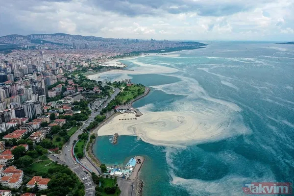 Caddebostan Sahili'nde müsilaj yoğunluğu arttı! Tabloya benzer görüntüler oluştu - 11