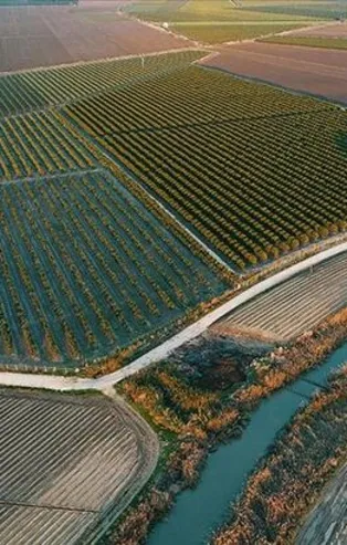 Türkiye'de 2020 yılında 541 bin hektar alanda arazi toplulaştırması tamamlanacak