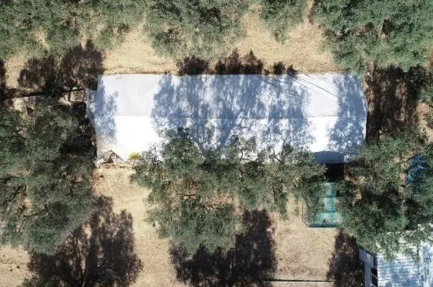 İznik'te bulunmuştu! Zarar görmesin diye hemen üzeri kapatıldı