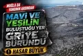 Milas'taki orman yangınında kül olan alanlar görüntülendi