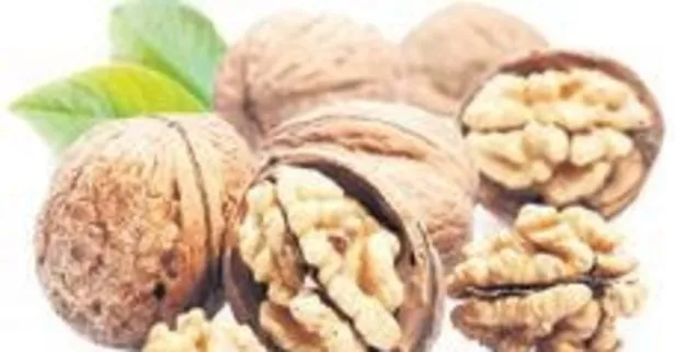 Prostatı cevizle yenin! Bin derde deva