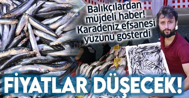 Balıkçılardan 'hamsi' müjdesi!
