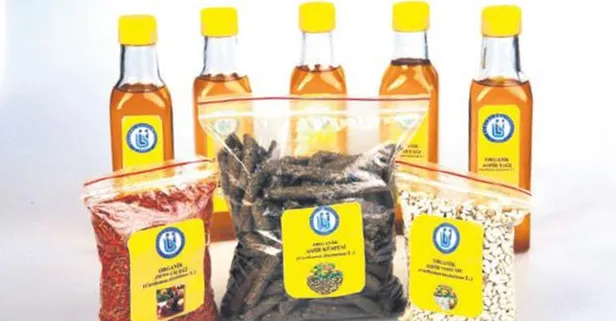 Organik Aspir başarısı