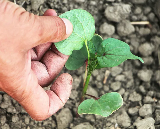 Çiftçilere bahar paketi geliyor!