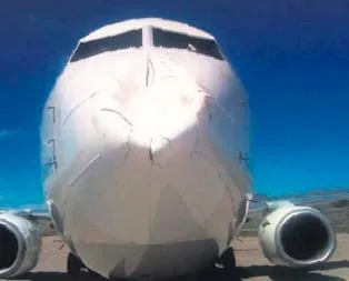 Uçağa kuşlar çarptı