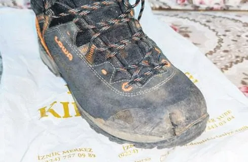 Biraz panik yaptım ama korkmadım! Bursa'da ormanda ayı 6 dakika boyunca hayat savaşı verdi-2