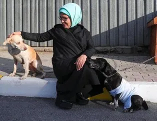 Emine Erdoğan engelli köpek ’Leblebi’yi sahiplendi