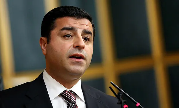 CHP'li İbrahim Kaboğlu'ndan skandal çağrı: Selahattin Demirtaş ve Osman Kavala serbest bırakılsın!-4