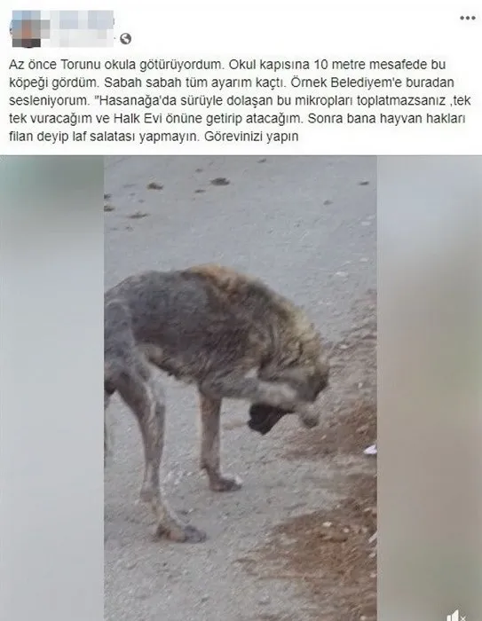 Nilüfer Belediyesi çalışanından skandal paylaşım!-2