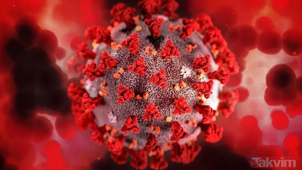 Mutasyona uğramış yeni virüs! Vakalar 3 katına çıktı: Uzmanlar “Böylesi daha önce görülmedi…” - 8