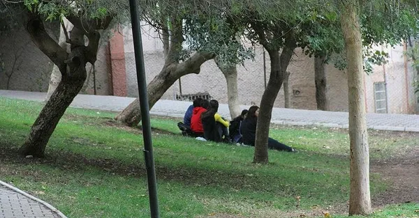Adana'da parkta dehşet! Fotoğraf çektirmek istediler felaketi yaşadılar-4