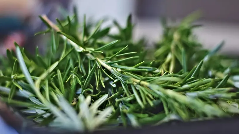 sac-dokulmesini-bicak-gibi-kesecek-1-damasi-bile-saci-halat-gibi-guclendirecek-1716581031372.jpeg 1 damlası bile saçı halat gibi güçlendirecek! Saç dökülmesini bıçak gibi kesecek!-3