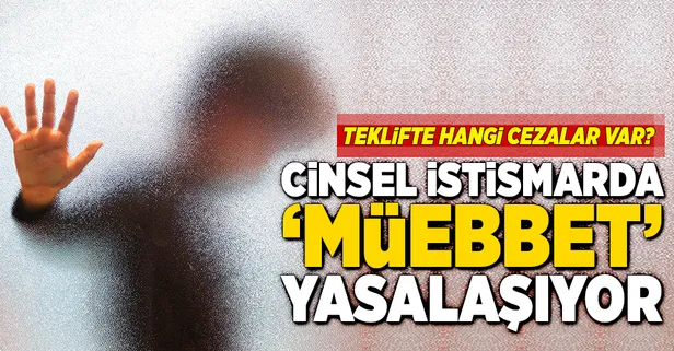 İstismar düzenlemesi TBMM'ye sunuldu