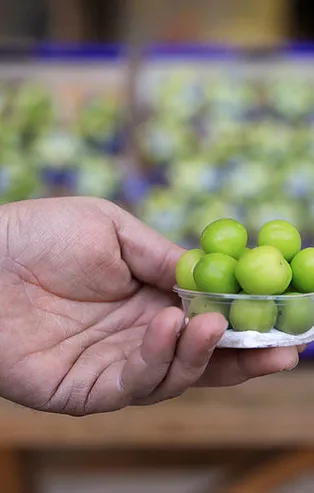 Çeyrek altından pahalı eriği görenler yalnızca fotoğrafını çekebildi