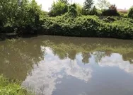 Askıda belediye uygulaması! Riva Deresi’ni de Çevre ve Şehircilik Bakanlığı temizleyecek!