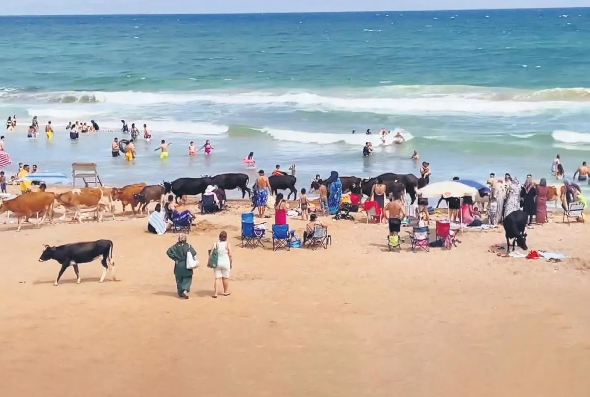 Açılın biraz da biz girelim