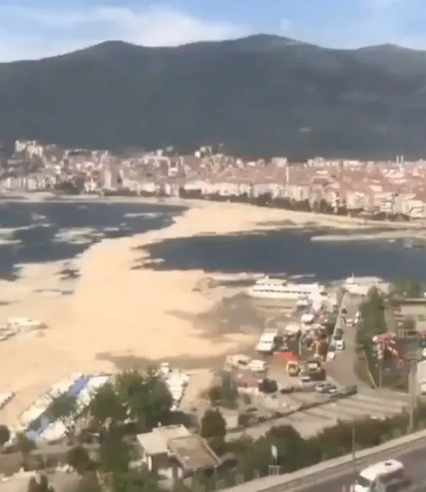 Deniz salyası nedir, nasıl temizlenir? Müsilaj sorununda etkili olan reaktif oksijen nedir?-5