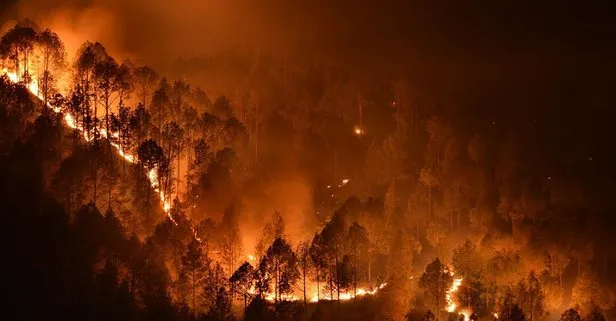 Muğla’da 4 ayrı bölgede orman yangını çıkardığı iddiasıyla gözaltına alınan zanlı tutuklandı